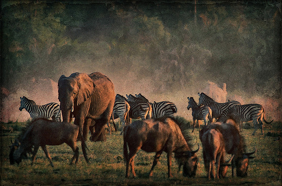 Dusk in the Delta